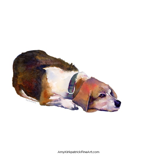 0278  •  BEAGLE THOUGHTS